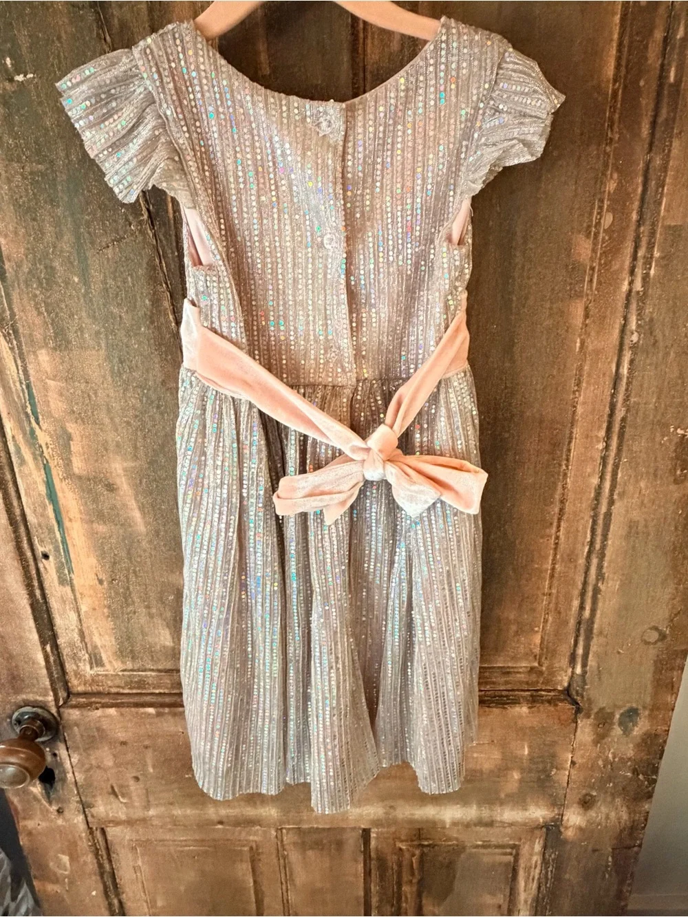 Blueberi Boulevard Girls Shimmer Party Dress – Size 4T